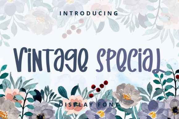 Vintage Special: A Quirky Display Font for Creative Projects